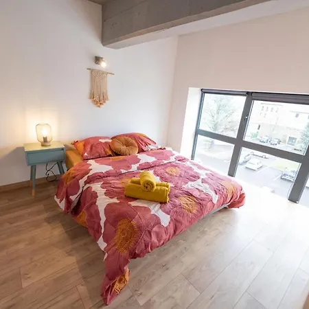Welcome Loft Apartment Saint-Etienne (Loire)